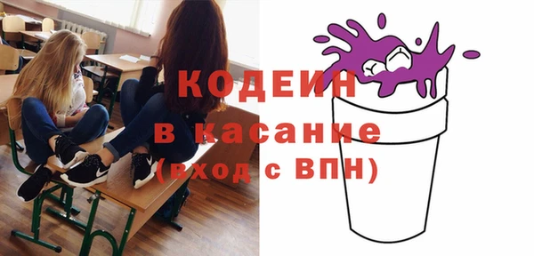 индика Абинск