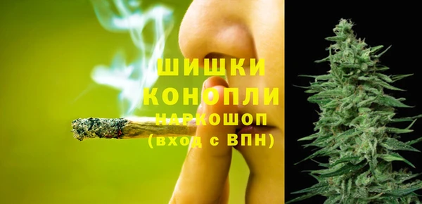индика Абинск